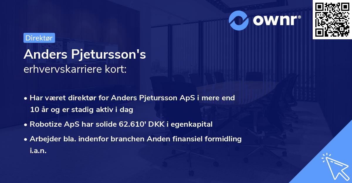 Anders Pjetursson's erhvervskarriere kort