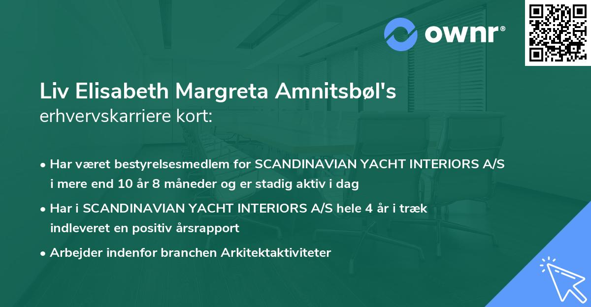 Liv Elisabeth Margreta Amnitsbøl's erhvervskarriere kort