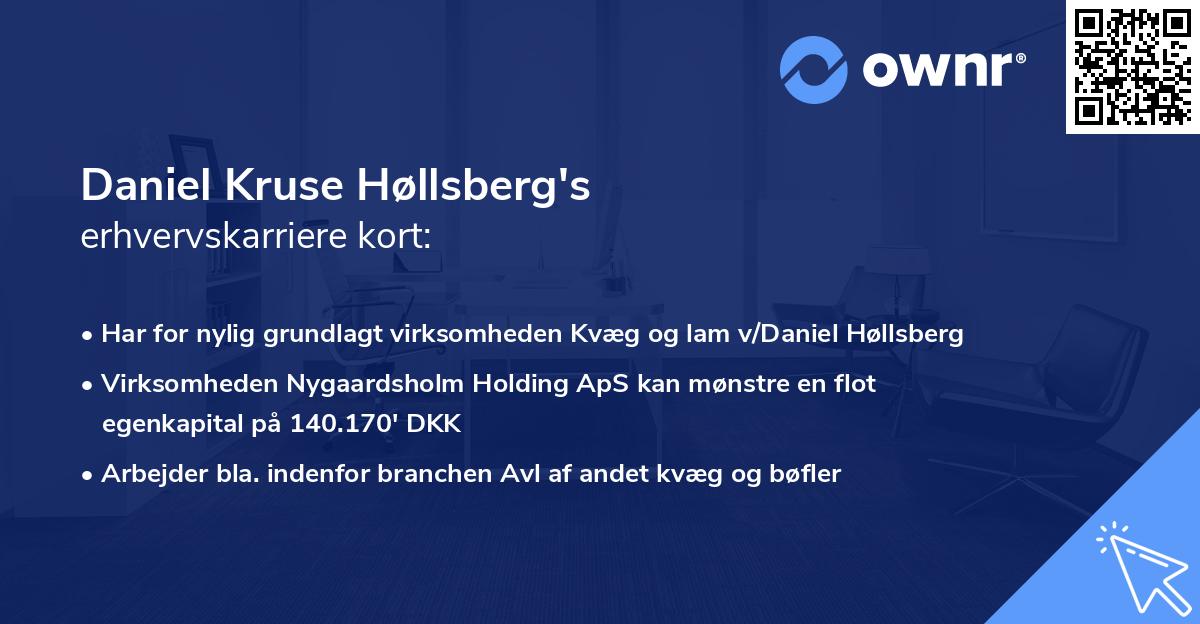 Daniel Kruse Høllsberg's erhvervskarriere kort