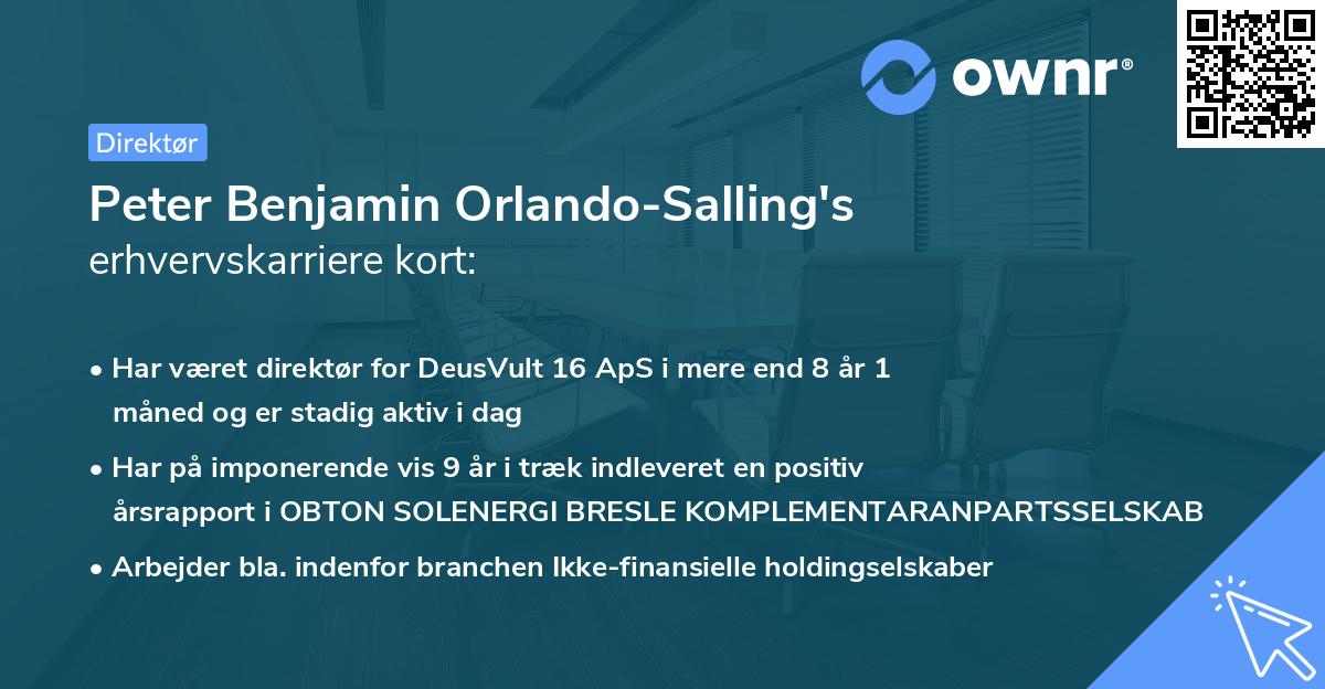 Peter Benjamin Orlando-Salling's erhvervskarriere kort