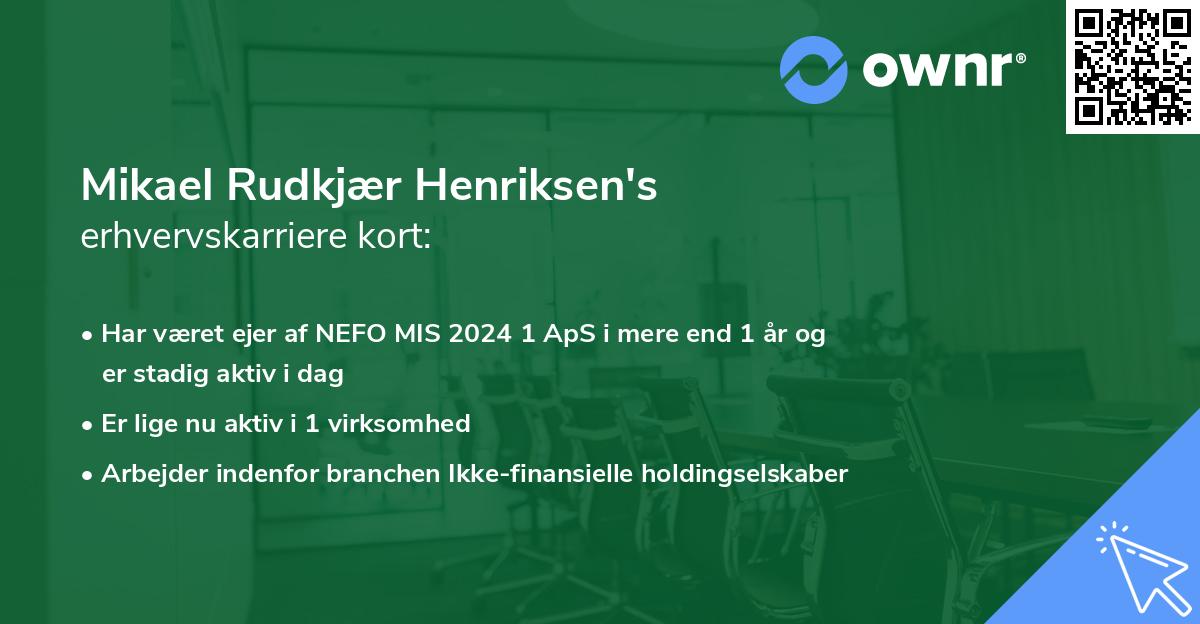 Mikael Rudkjær Henriksen's erhvervskarriere kort
