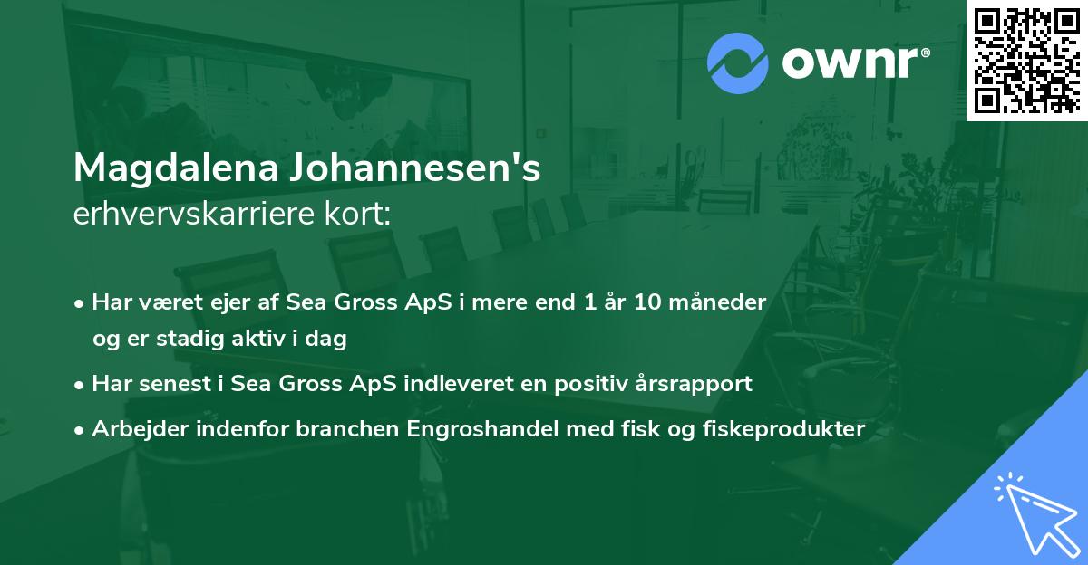 Magdalena Johannesen's erhvervskarriere kort