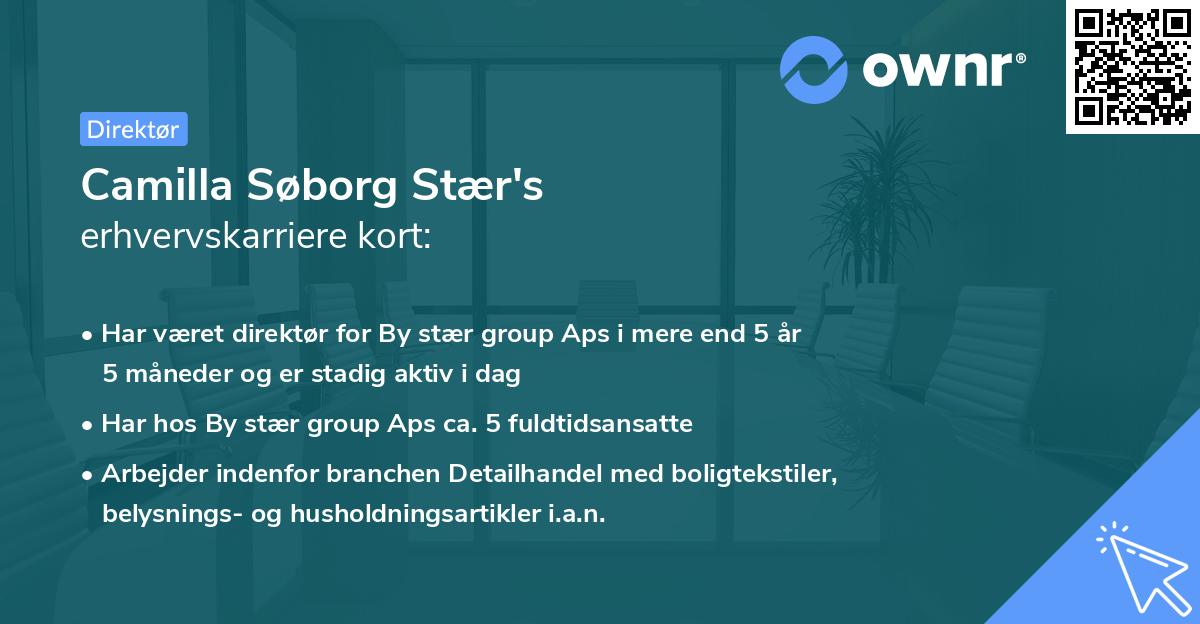 Camilla Søborg Stær's erhvervskarriere kort
