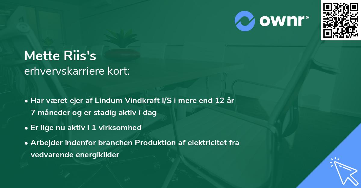 Mette Riis's erhvervskarriere kort