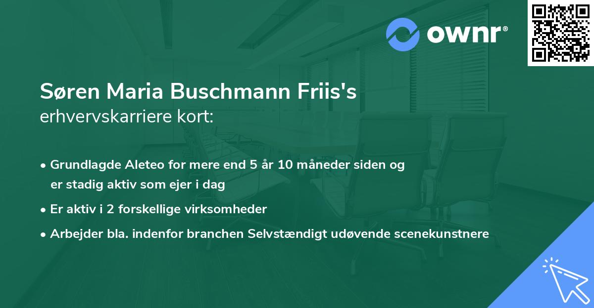 Søren Maria Buschmann Friis's erhvervskarriere kort
