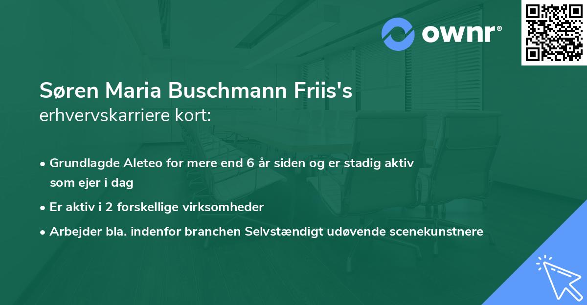 Søren Maria Buschmann Friis's erhvervskarriere kort