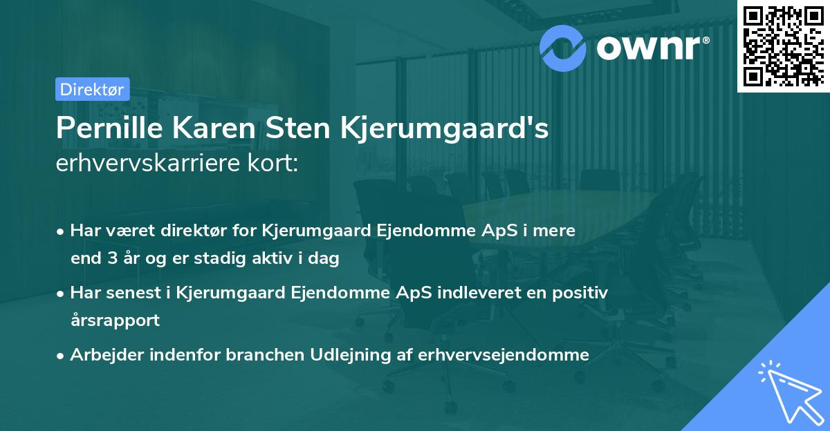 Pernille Karen Sten Kjerumgaard's erhvervskarriere kort