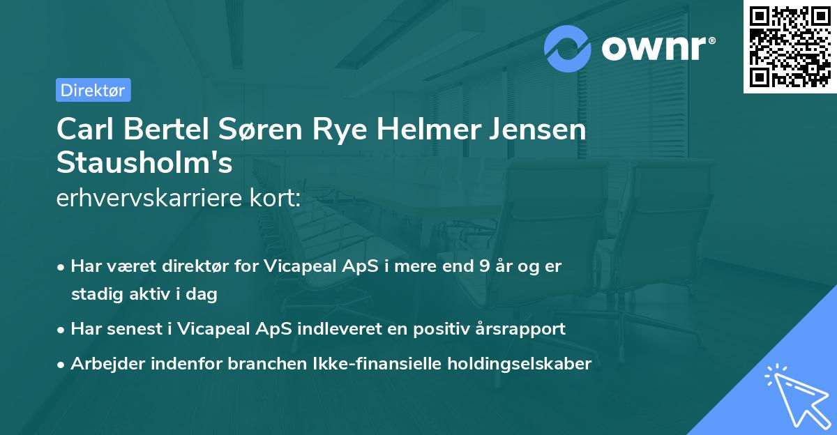 Carl Bertel Søren Rye Helmer Jensen Stausholm's erhvervskarriere kort