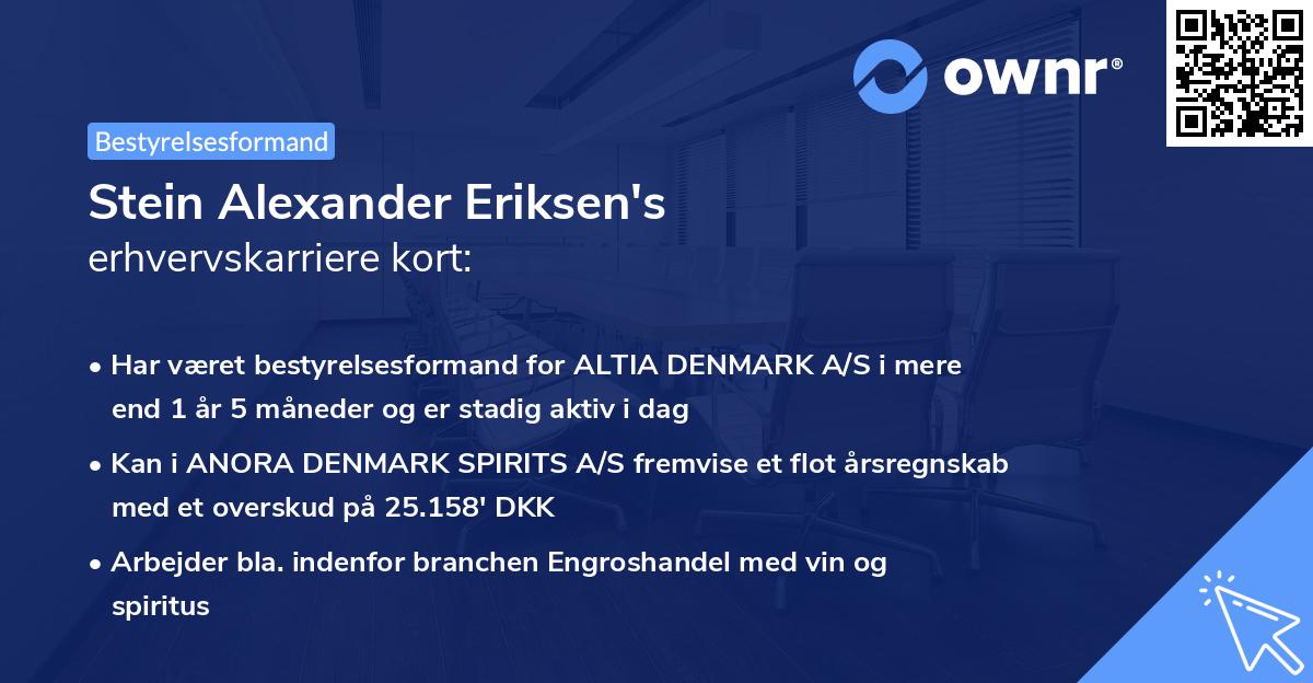 Stein Alexander Eriksen's erhvervskarriere kort
