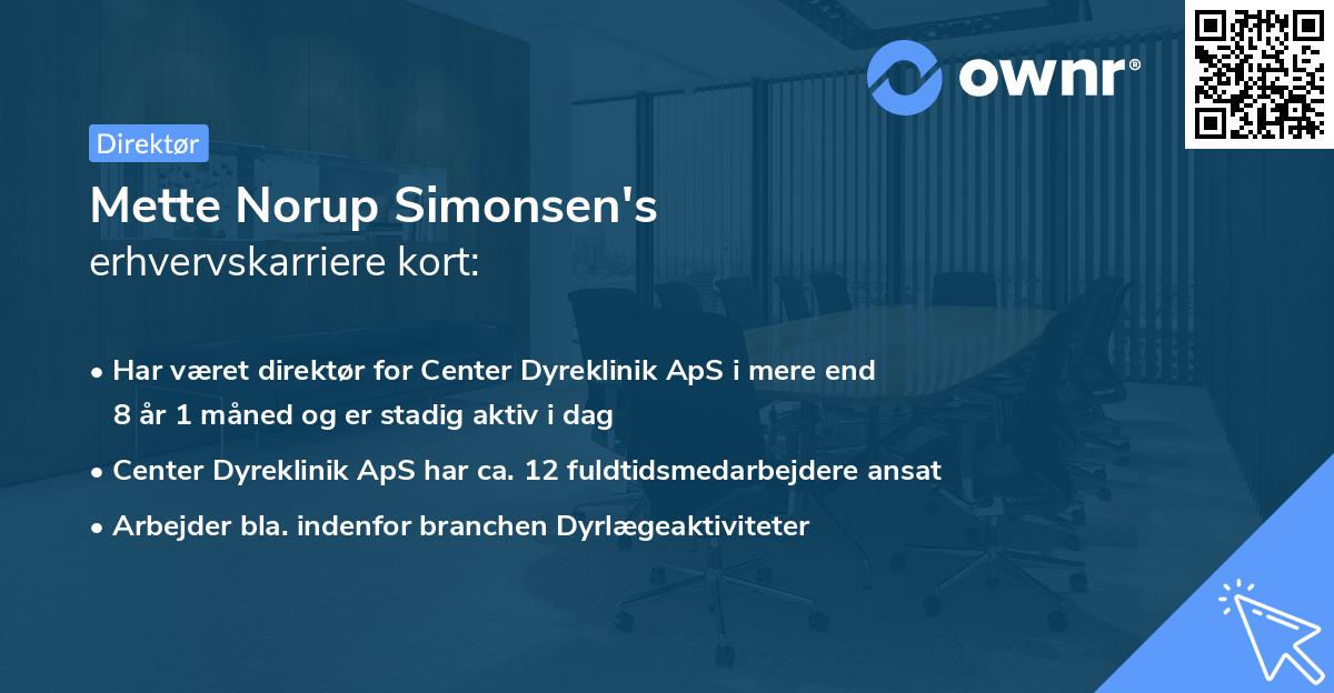 Mette Norup Simonsen's erhvervskarriere kort
