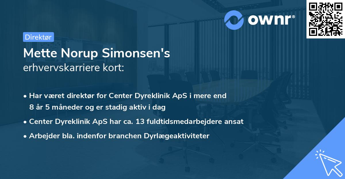 Mette Norup Simonsen's erhvervskarriere kort