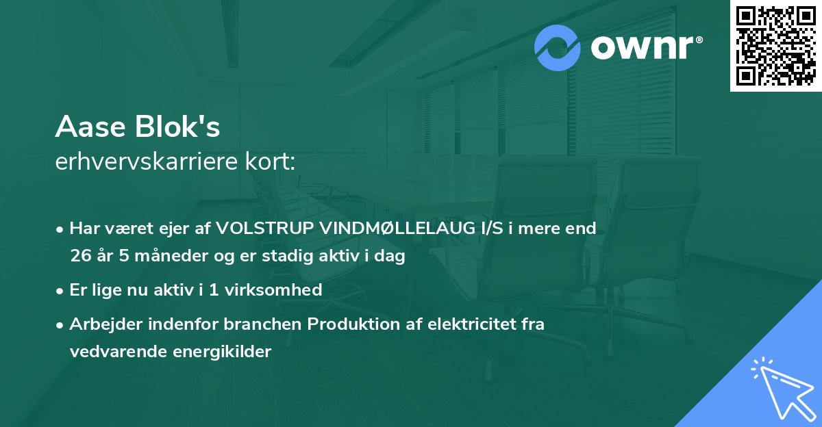 Aase Blok's erhvervskarriere kort