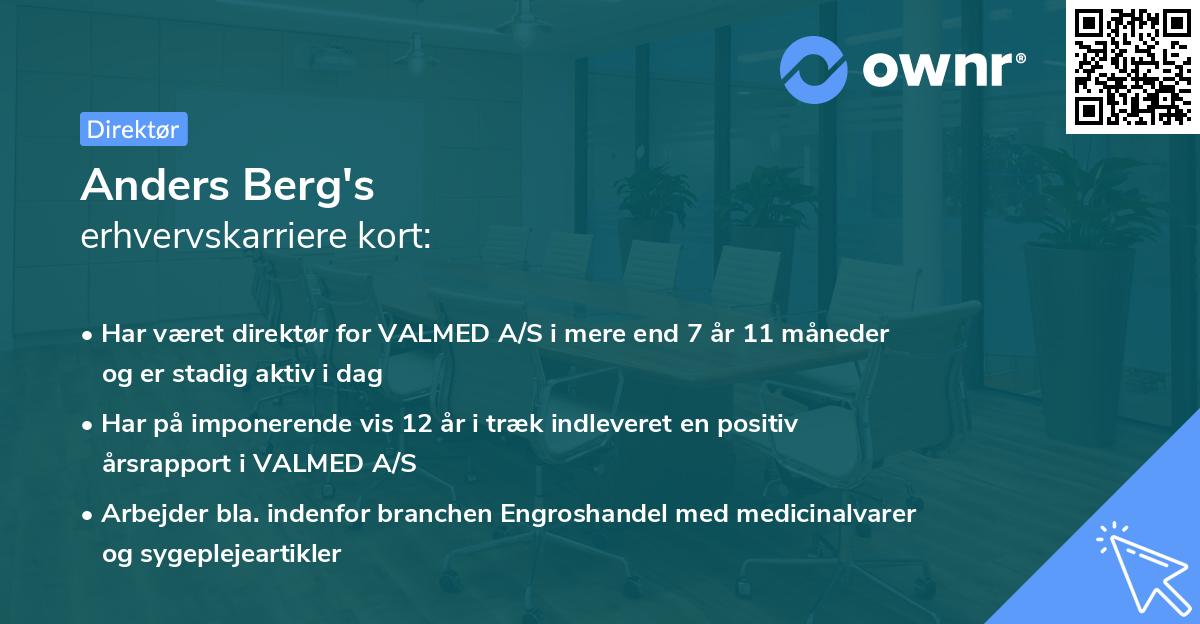 Anders Berg's erhvervskarriere kort