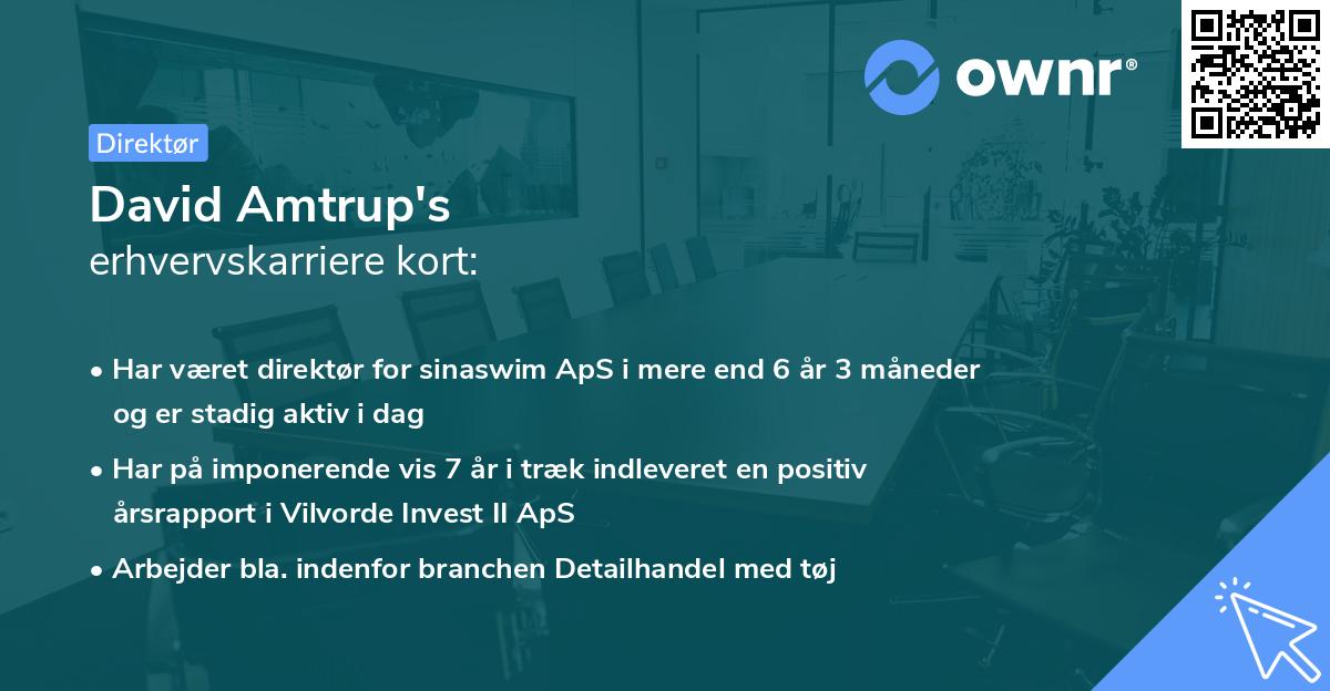 David Amtrup's erhvervskarriere kort