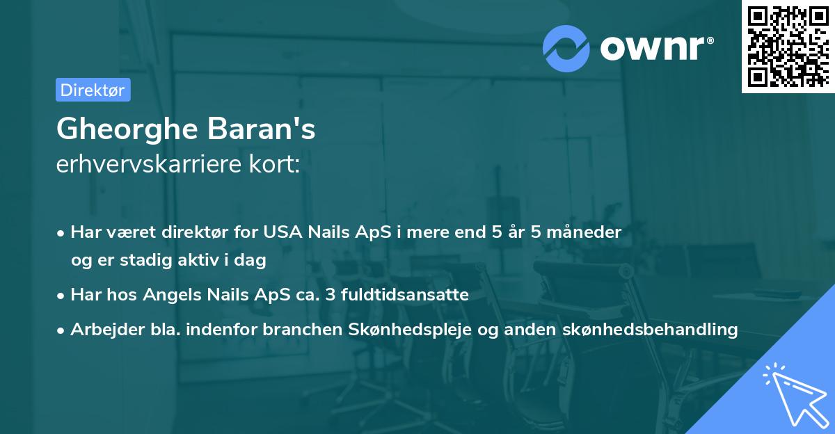 Gheorghe Baran's erhvervskarriere kort