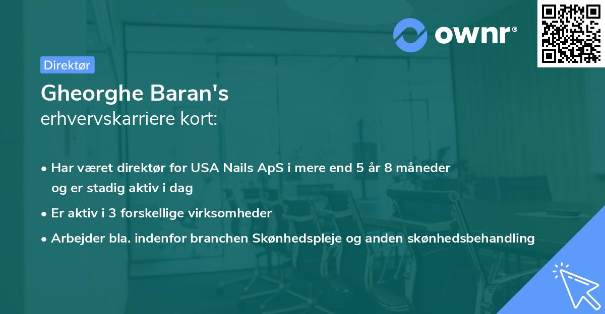 Gheorghe Baran's erhvervskarriere kort