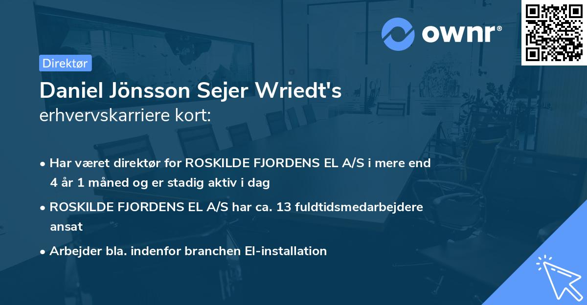 Daniel Jönsson Sejer Wriedt's erhvervskarriere kort