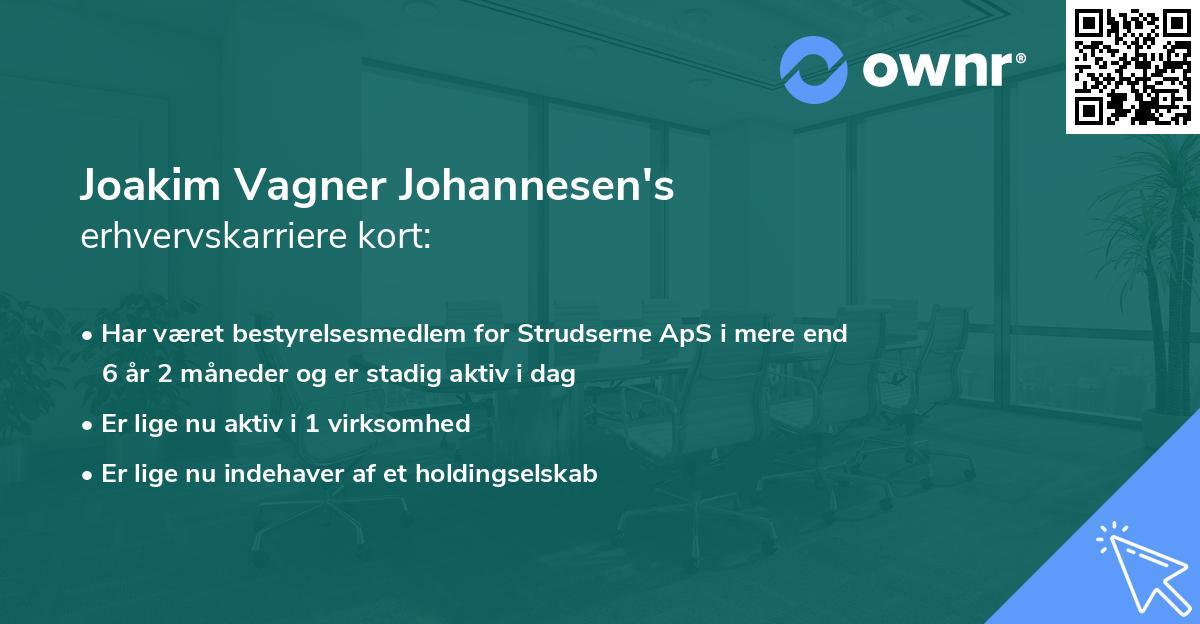 Joakim Vagner Johannesen's erhvervskarriere kort