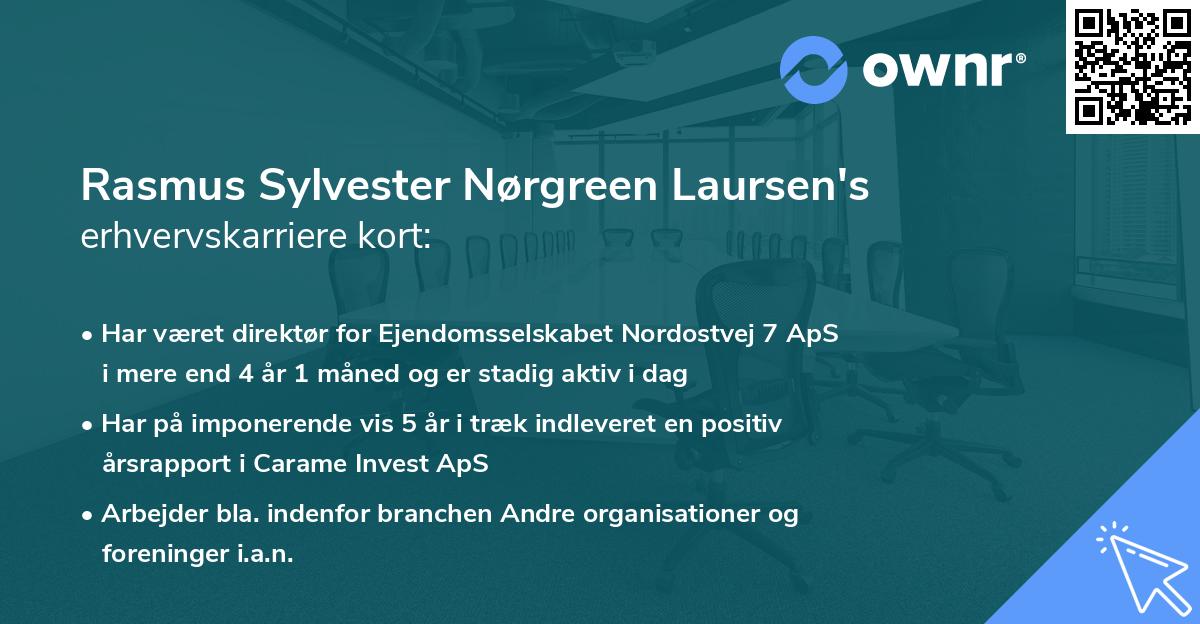 Rasmus Sylvester Nørgreen Laursen's erhvervskarriere kort