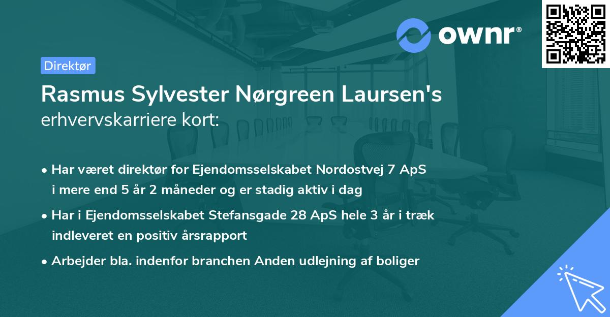 Rasmus Sylvester Nørgreen Laursen's erhvervskarriere kort