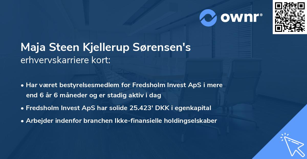 Maja Steen Kjellerup Sørensen's erhvervskarriere kort