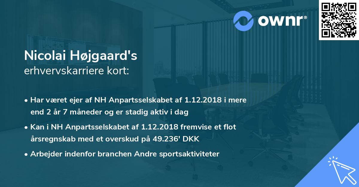 Nicolai Højgaard's erhvervskarriere kort