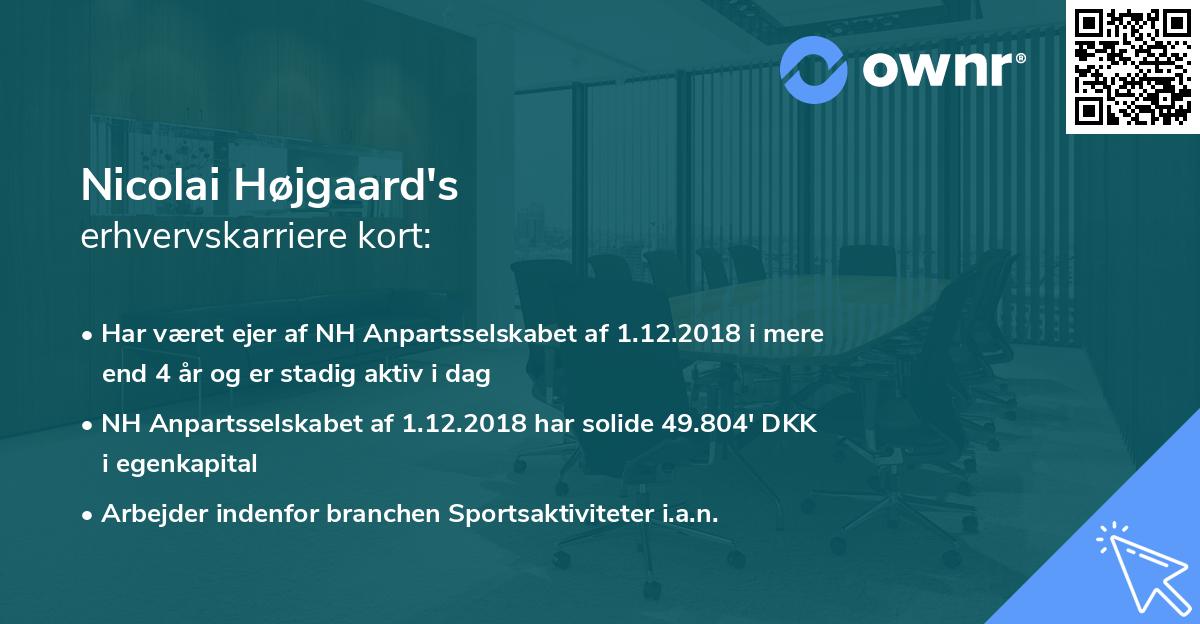 Nicolai Højgaard's erhvervskarriere kort