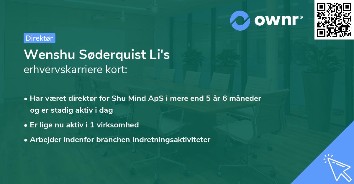 Wenshu Søderquist Li's erhvervskarriere kort