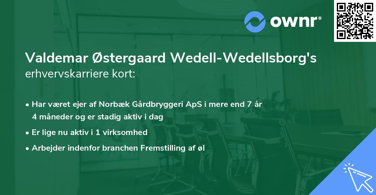 Valdemar Østergaard Wedell-Wedellsborg's erhvervskarriere kort