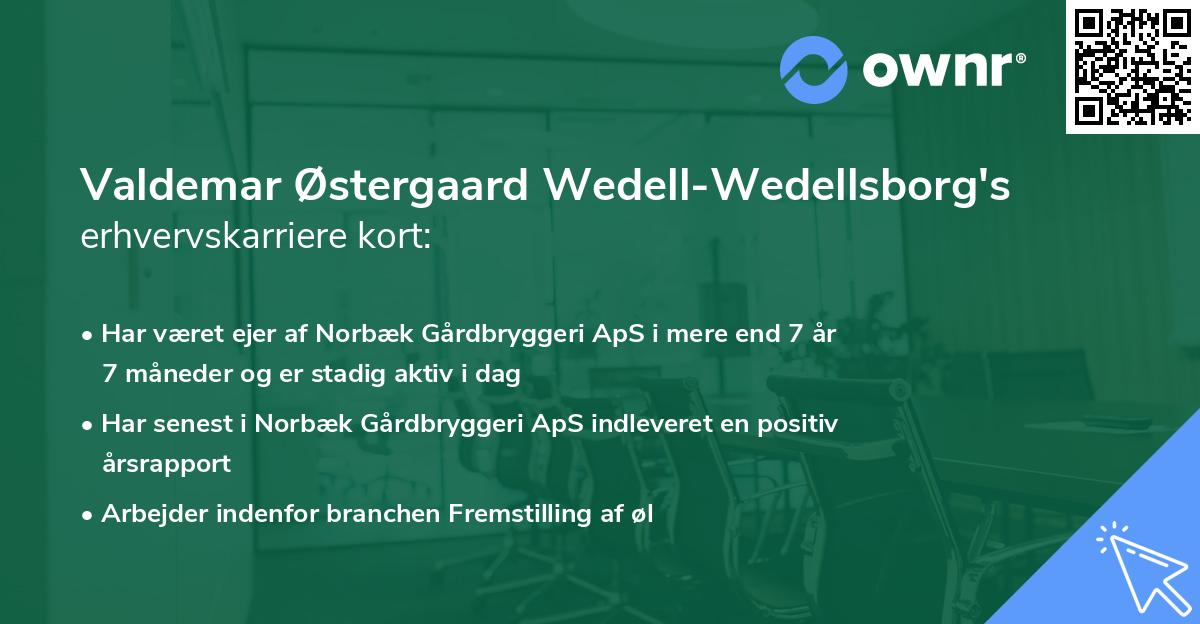 Valdemar Østergaard Wedell-Wedellsborg's erhvervskarriere kort