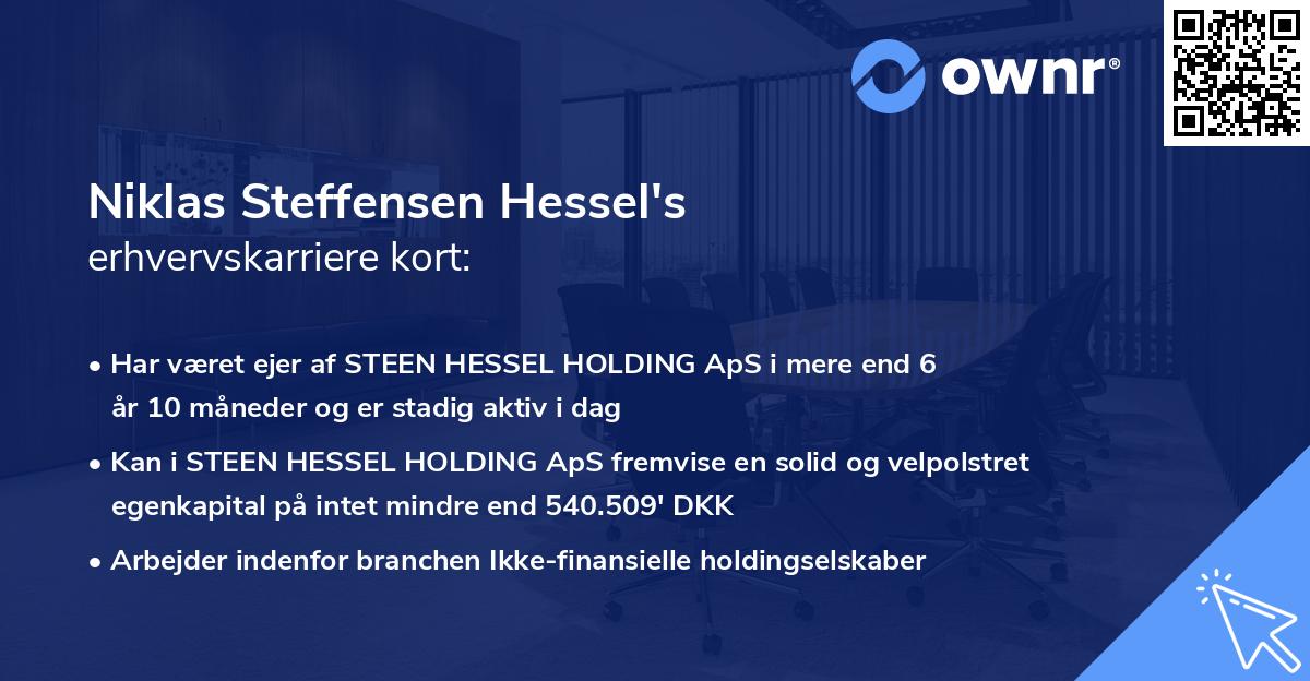 Niklas Steffensen Hessel's erhvervskarriere kort