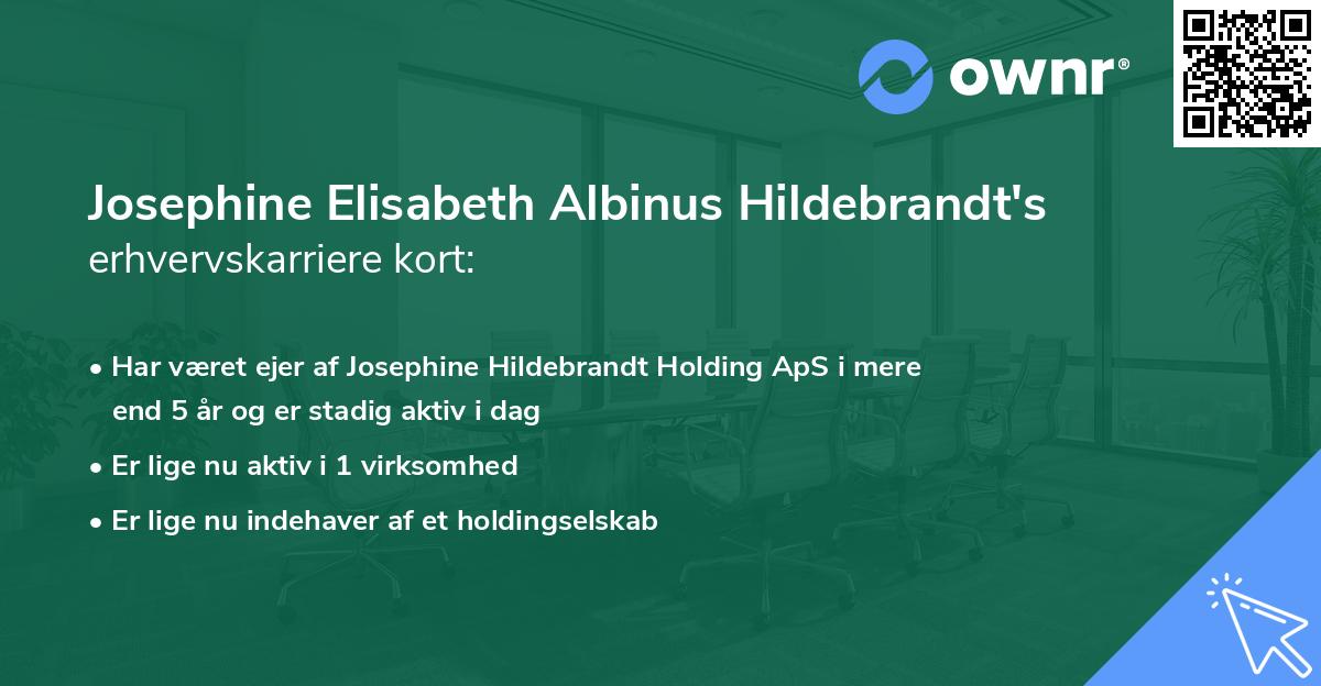 Josephine Elisabeth Albinus Hildebrandt's erhvervskarriere kort