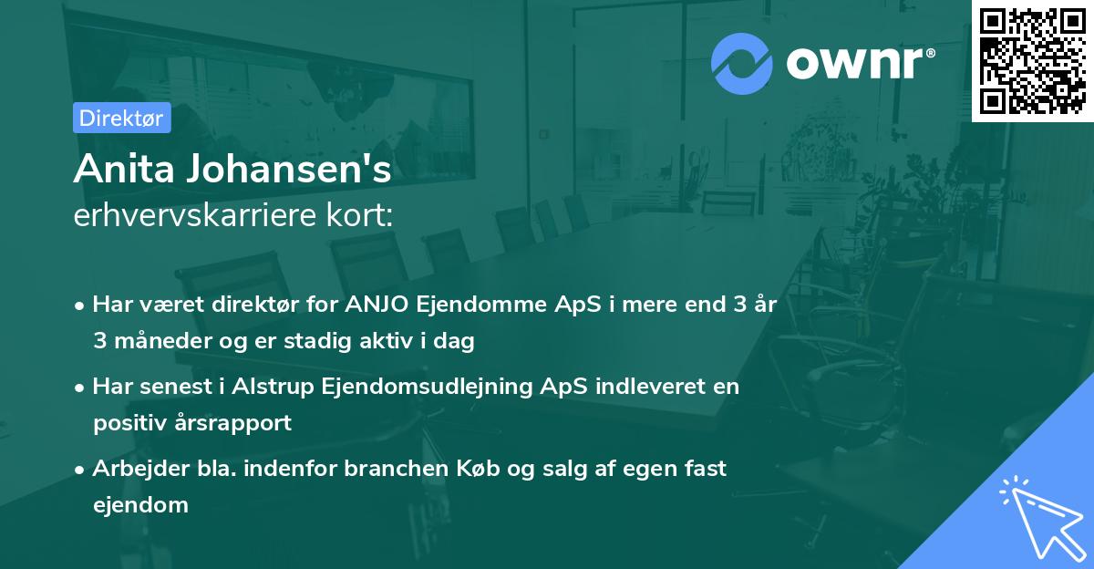 Anita Johansen's erhvervskarriere kort