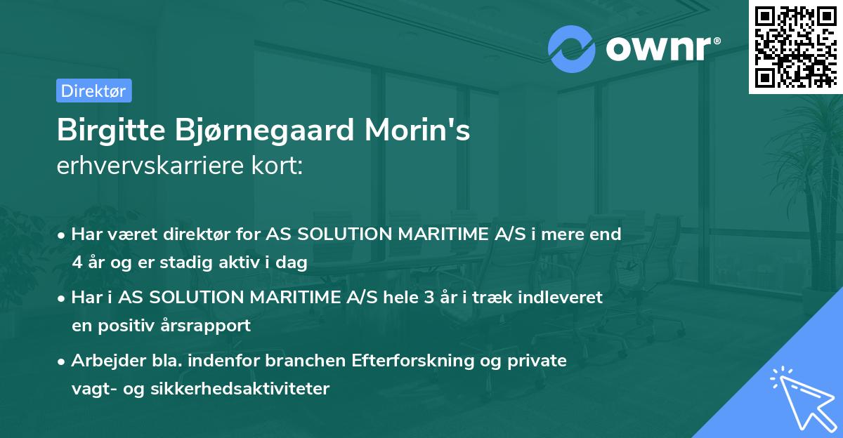 Birgitte Bjørnegaard Morin's erhvervskarriere kort