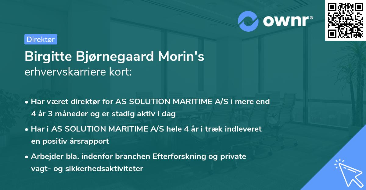 Birgitte Bjørnegaard Morin's erhvervskarriere kort