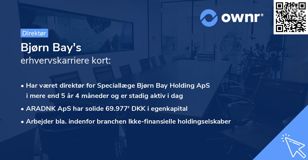 Bjørn Bay's erhvervskarriere kort
