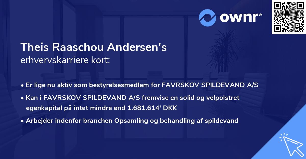 Theis Raaschou Andersen's erhvervskarriere kort