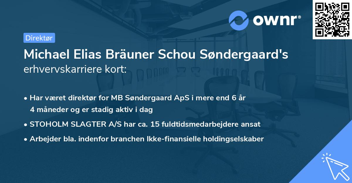 Michael Elias Bräuner Schou Søndergaard's erhvervskarriere kort