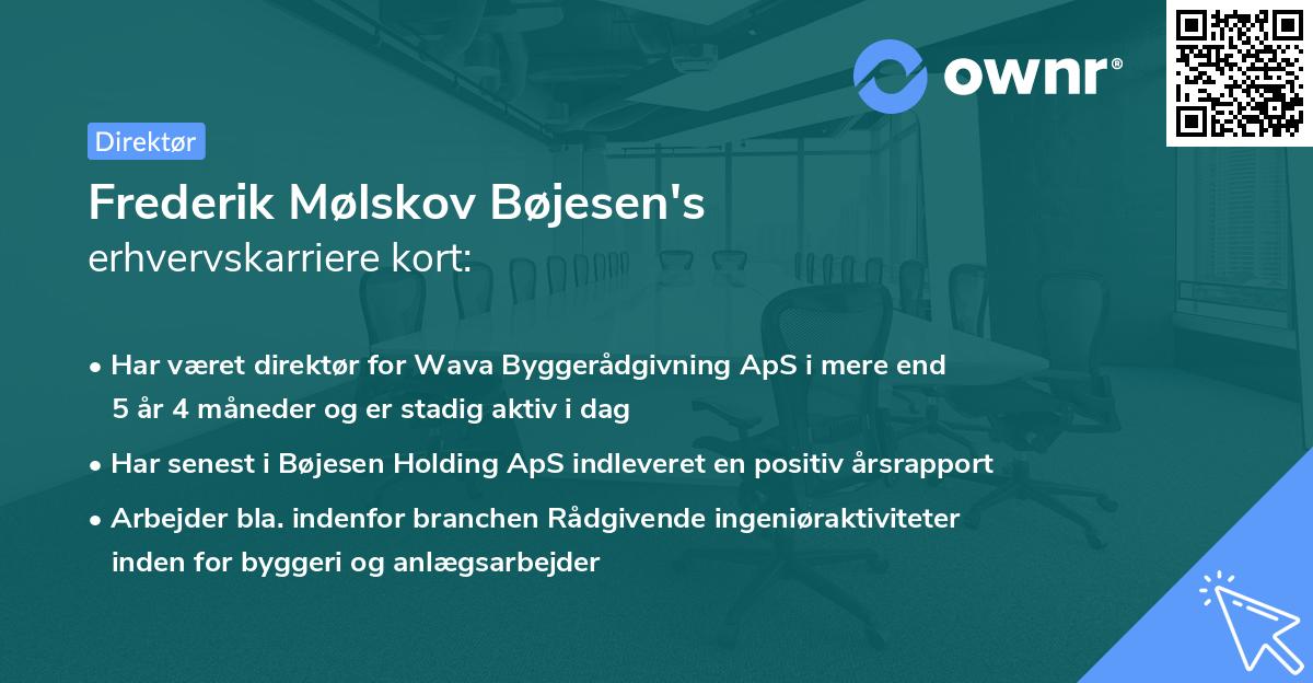 Frederik Mølskov Bøjesen's erhvervskarriere kort