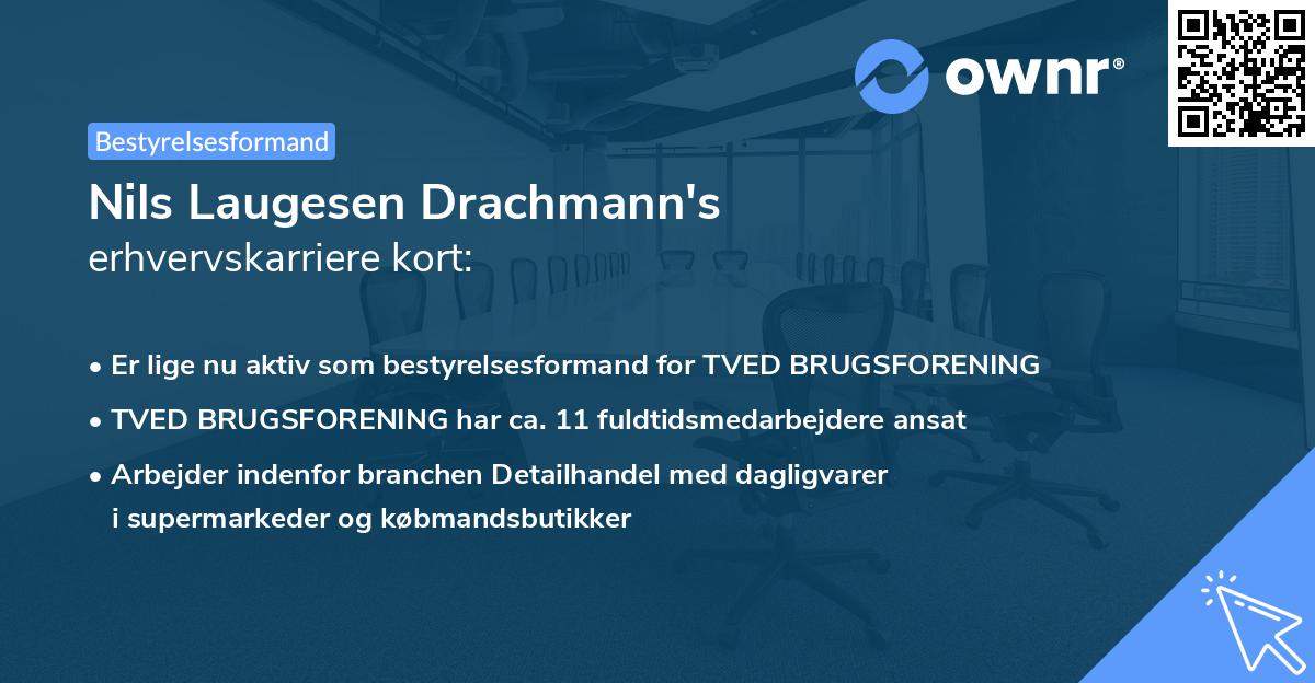 Nils Laugesen Drachmann's erhvervskarriere kort