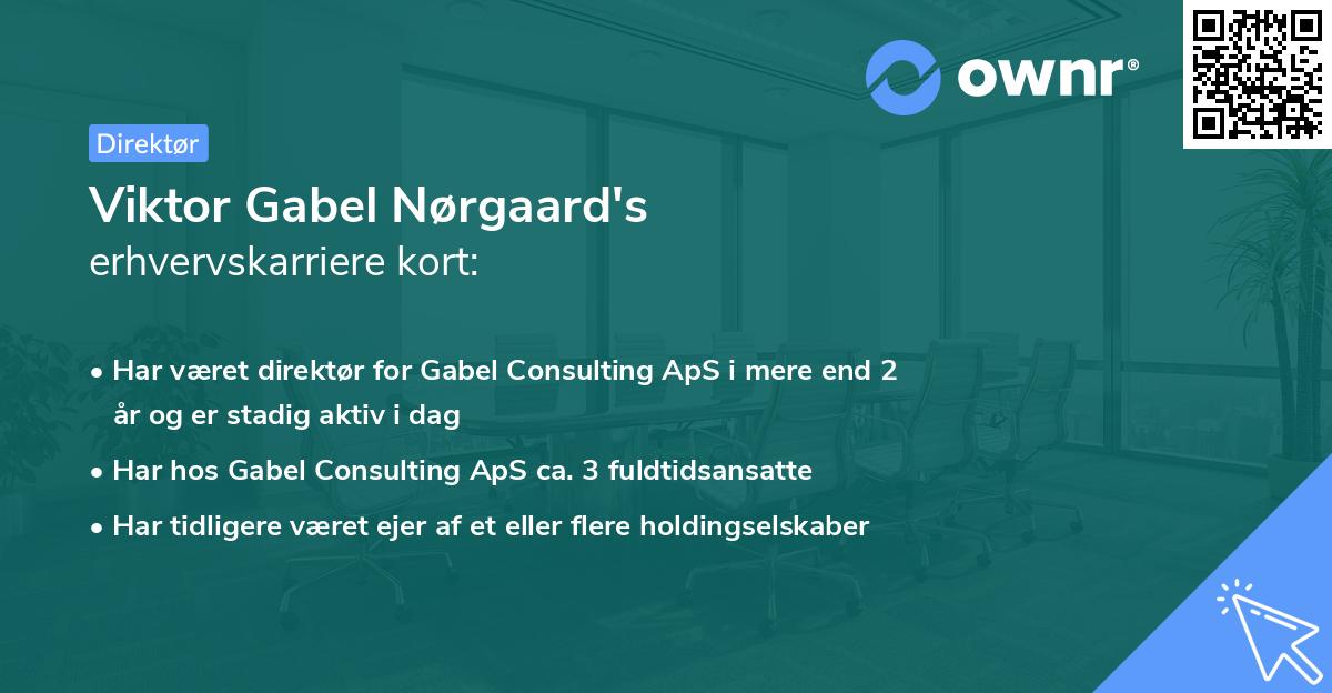 Viktor Gabel Nørgaard's erhvervskarriere kort