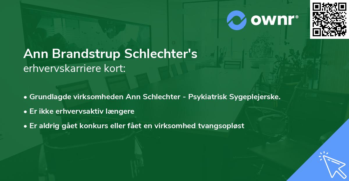 Ann Brandstrup Schlechter's erhvervskarriere kort