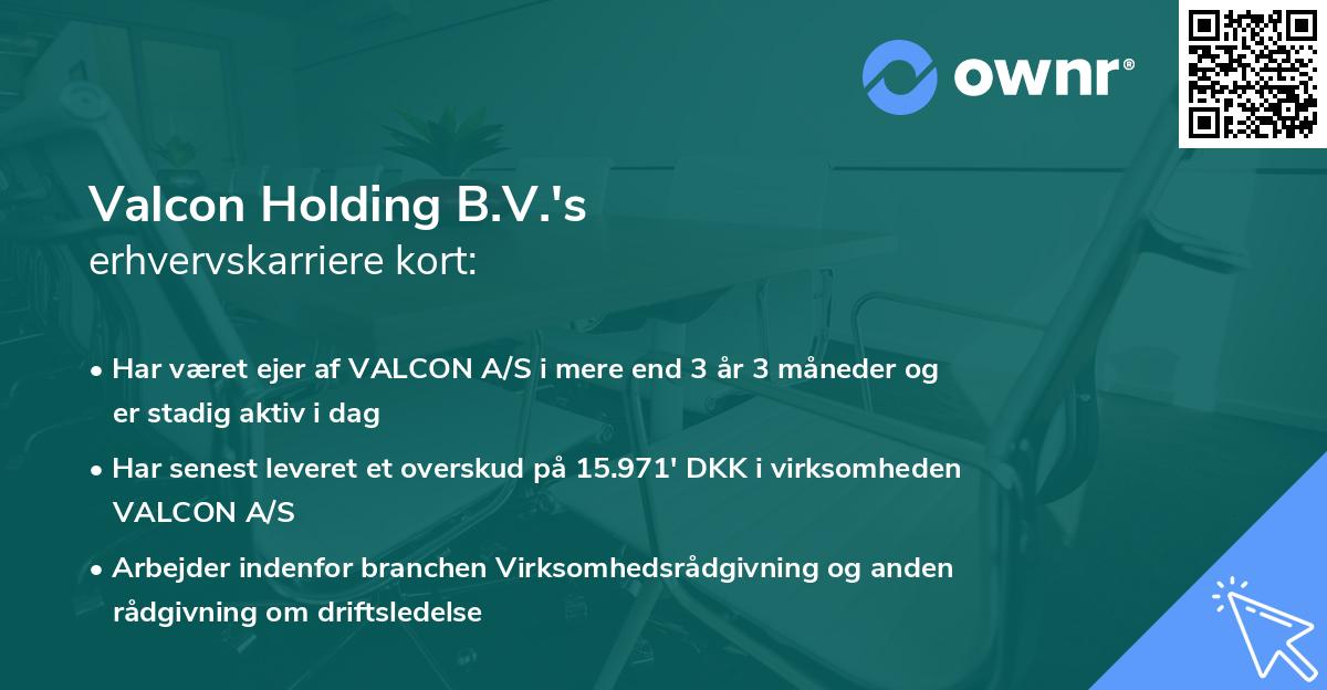 Valcon Holding B.V.'s erhvervskarriere kort