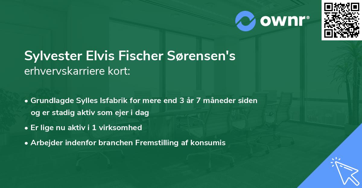 Sylvester Elvis Fischer Sørensen's erhvervskarriere kort