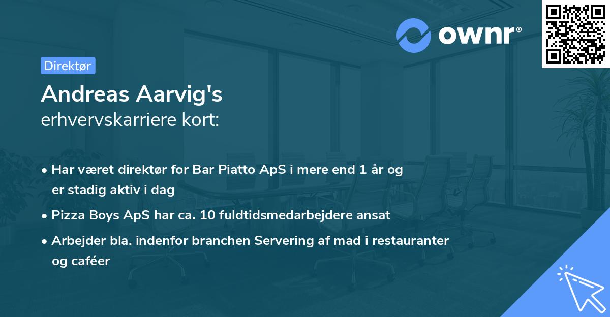 Andreas Aarvig's erhvervskarriere kort