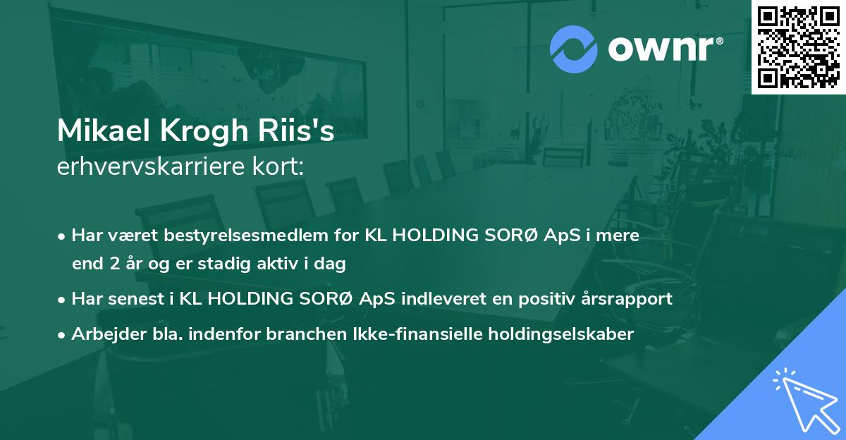 Mikael Krogh Riis's erhvervskarriere kort