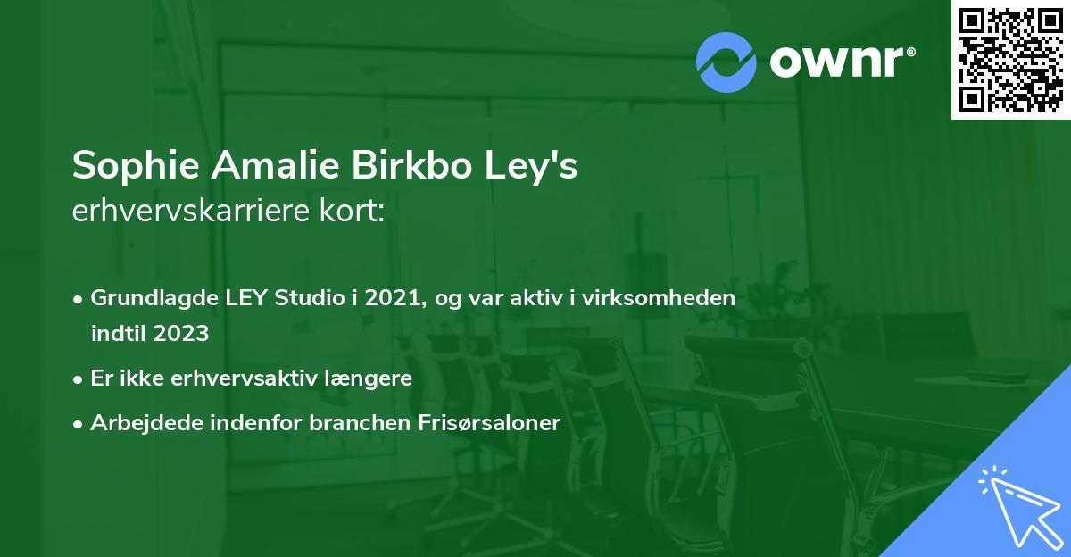 Sophie Amalie Birkbo Ley's erhvervskarriere kort