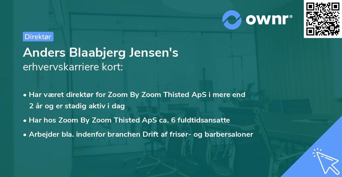 Anders Blaabjerg Jensen's erhvervskarriere kort
