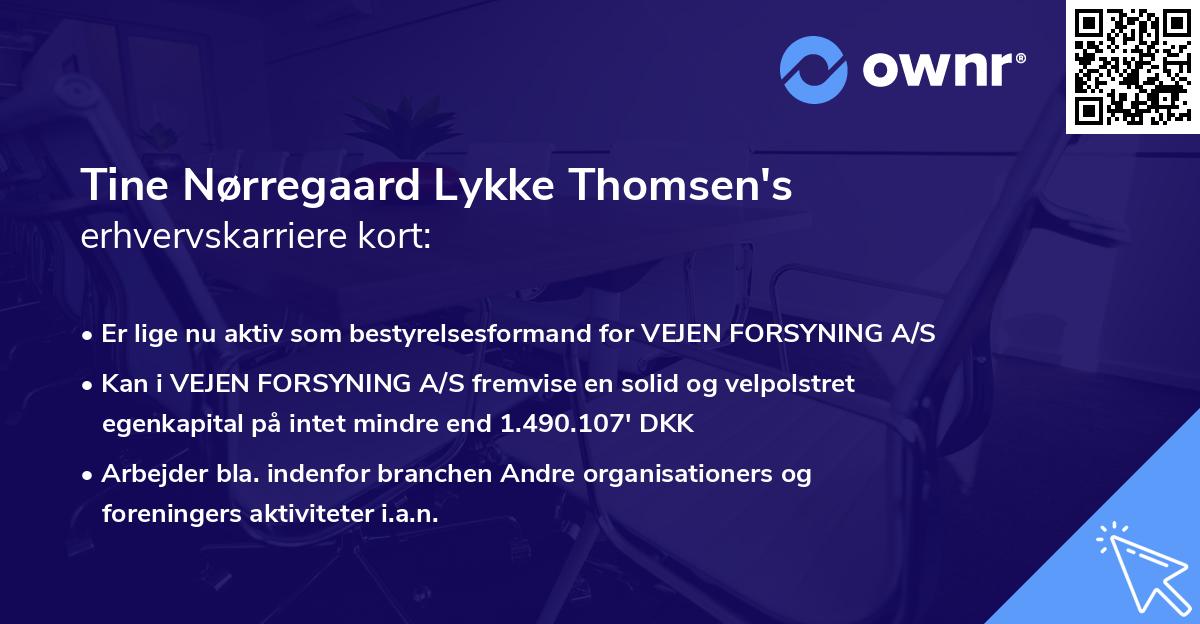 Tine Nørregaard Lykke Thomsen's erhvervskarriere kort