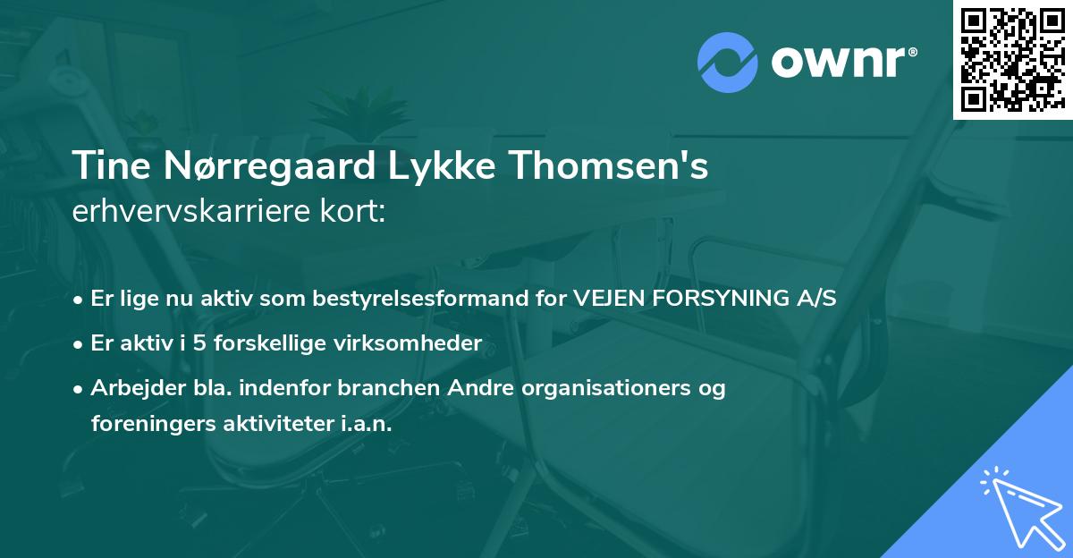 Tine Nørregaard Lykke Thomsen's erhvervskarriere kort